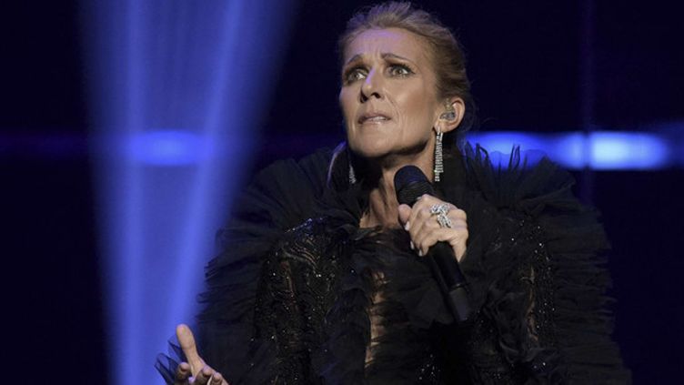 Céline Dion : sa carrière racontée album par album