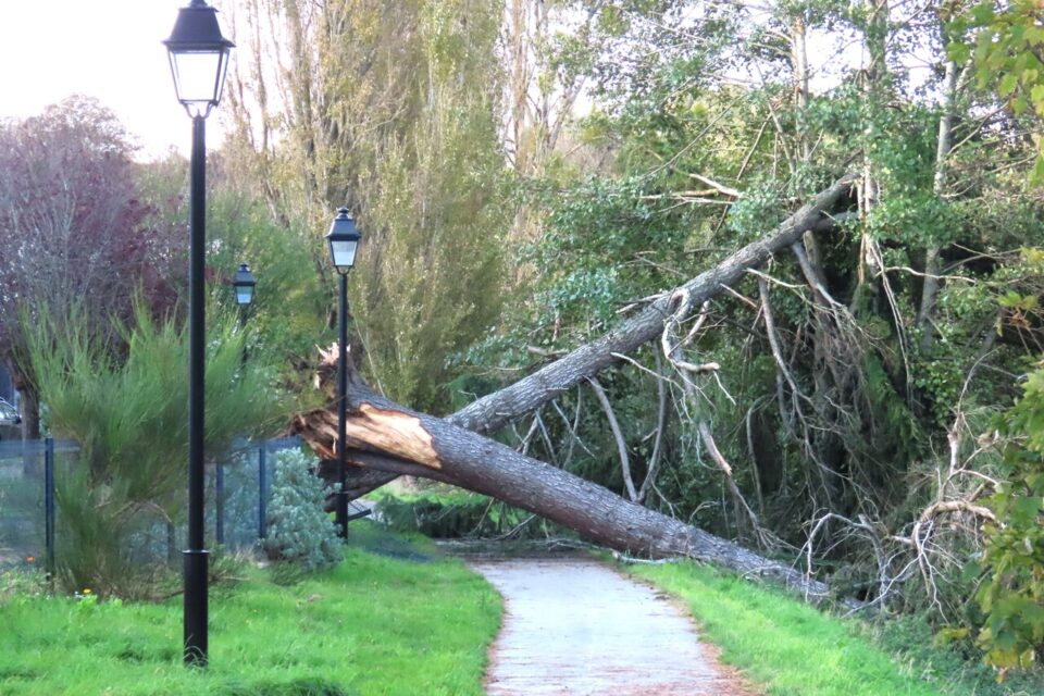 Tempête Pedro : de nouvelles rafales attendues en Dordogne ce mercredi soir